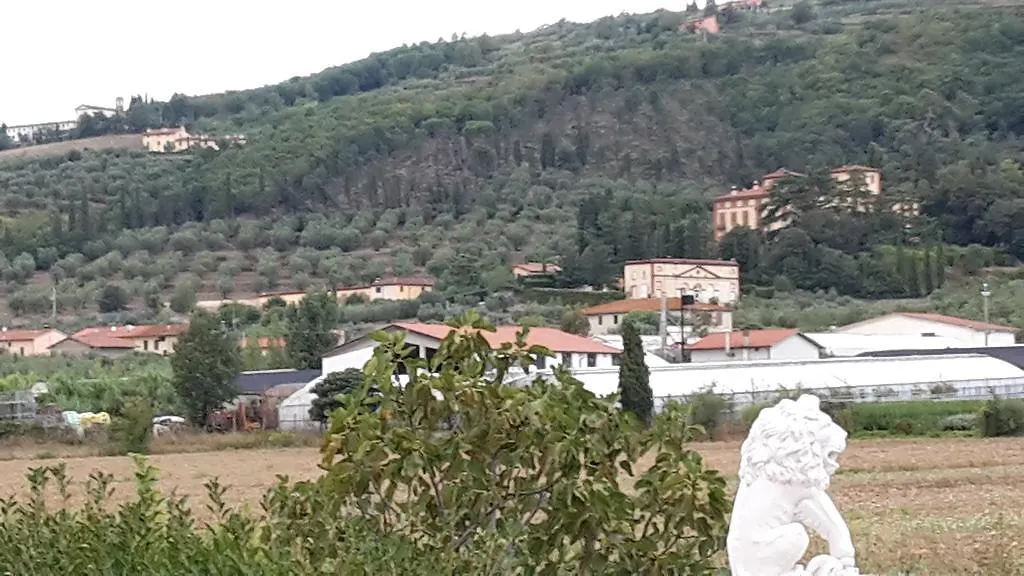 Oasi Verde Pistoia