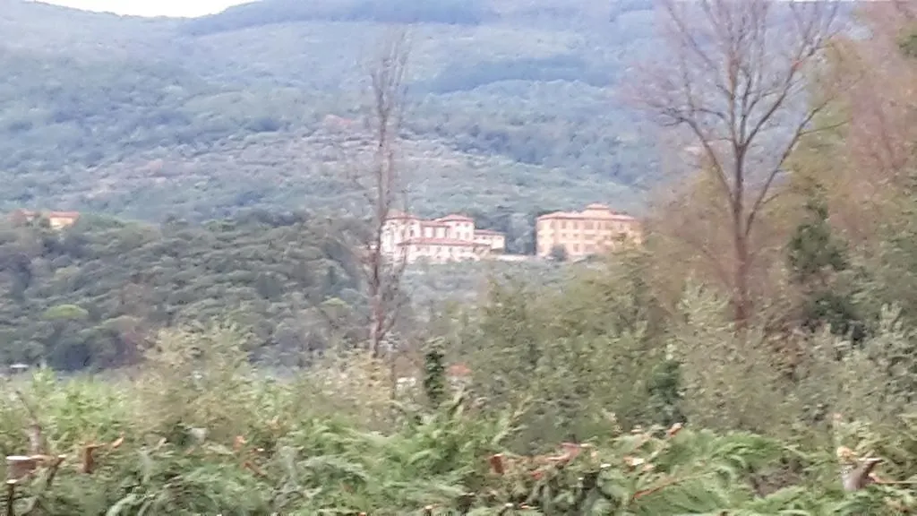Oasi Verde Pistoia
